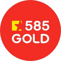 585, Холдинг logo