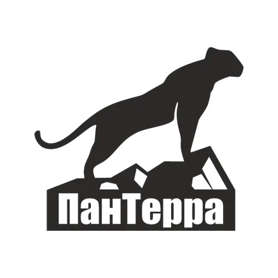 ПанСтройГарант logo