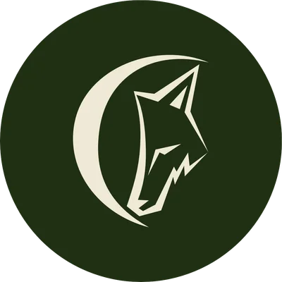 Волки Корпорейшен logo
