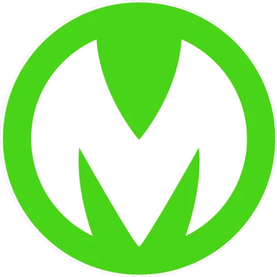 МАЙСТРИМ logo