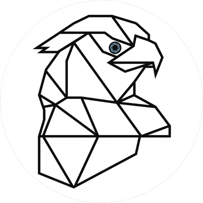 Фалькон Тех logo