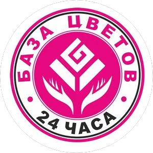 Ит Франчайзинг logo