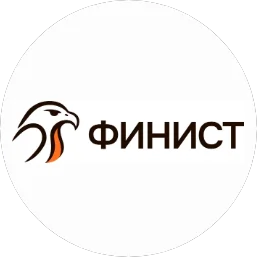 НПК Финист-Софт logo