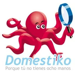 Domestiko logo