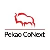 Pekao CoNext logo