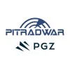 PIT-RADWAR S.A. logo