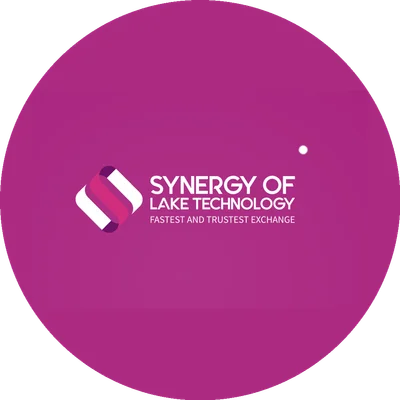 Synergy of Lake Technology logo